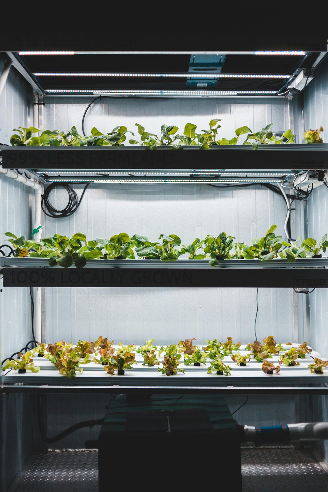 Smart Farming solution
